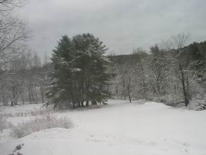 Winter 2003